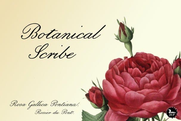 Download Botanical Scribe Font Free - Elegant Nature-Inspired Style