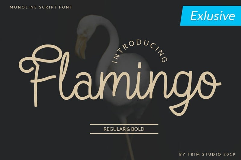flamingo