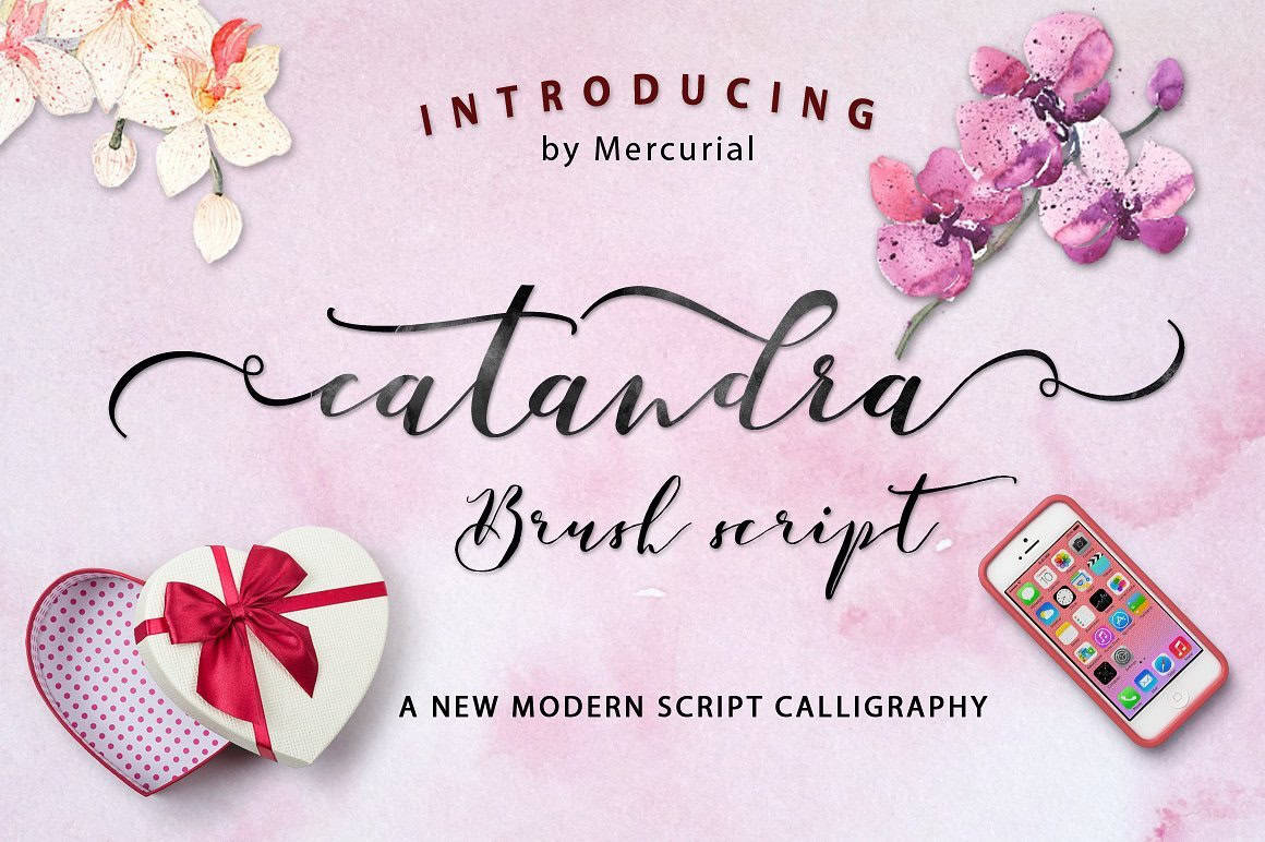 catandra script
