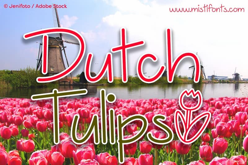 dutch tulips