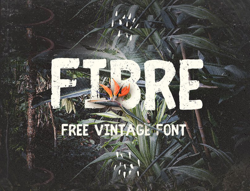 Download Fibre Font Free - Stylish and Versatile Typeface