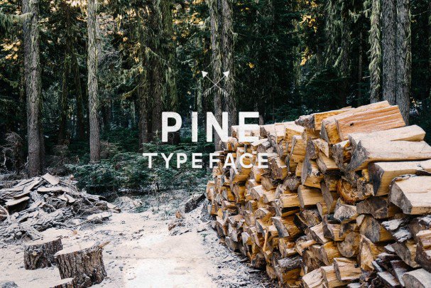 Laden Sie die Pine Schriftart kostenlos herunter - Stilvolle Designoption