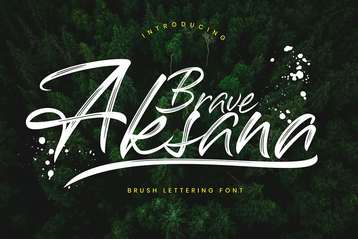 Download Aksana Font Free - Elegant & Modern Design