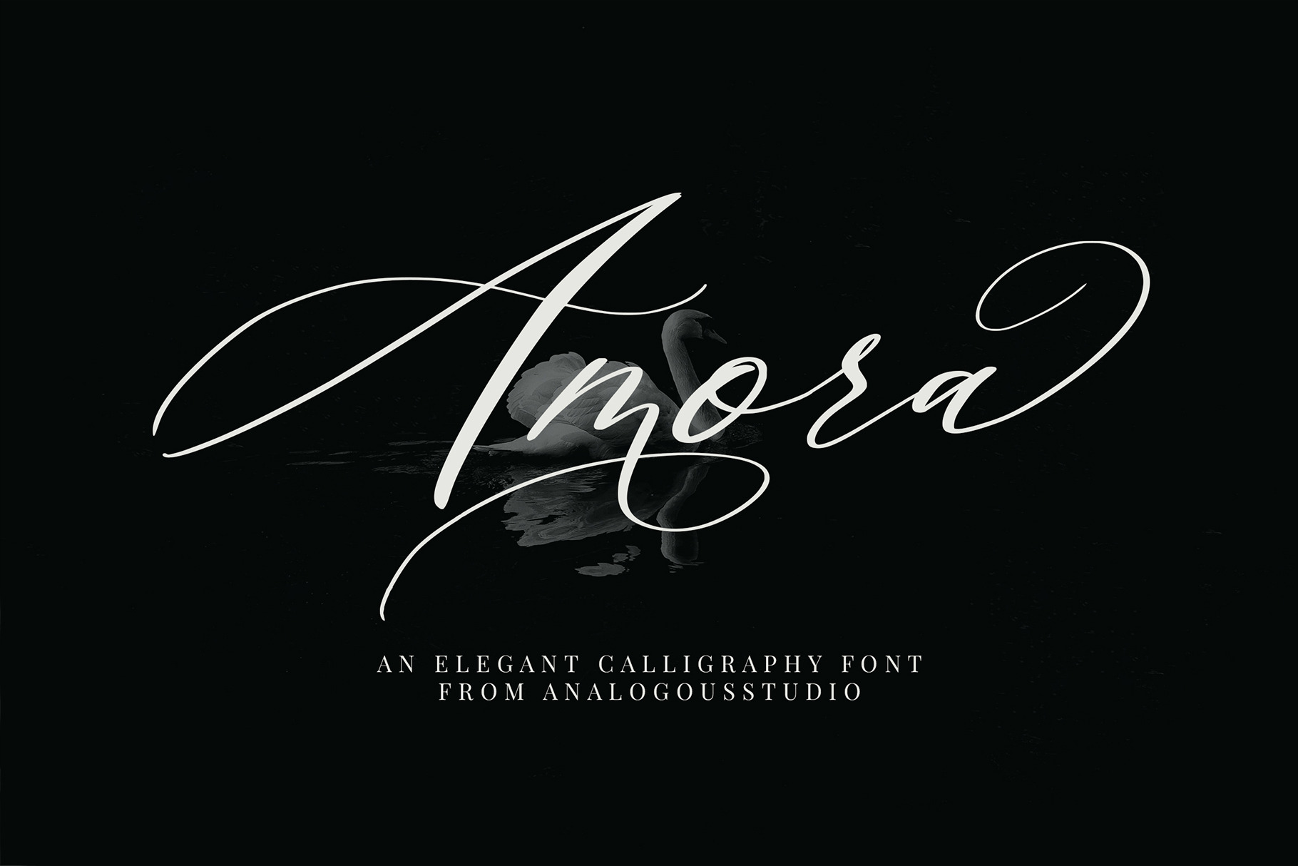 Amora Calligraphy - Téléchargez la police gratuite au style élégant