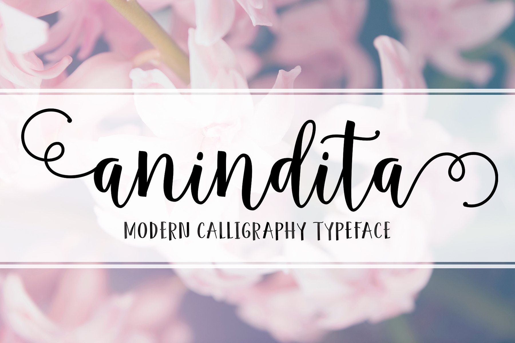 Download Anindita Script Font Free - Elegant Handwritten Style