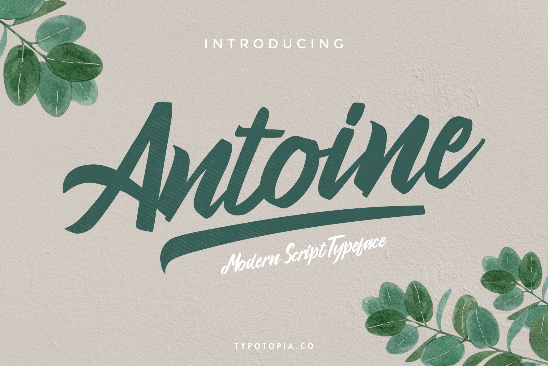 Download Antoine Font Free - Chic and Versatile Typeface