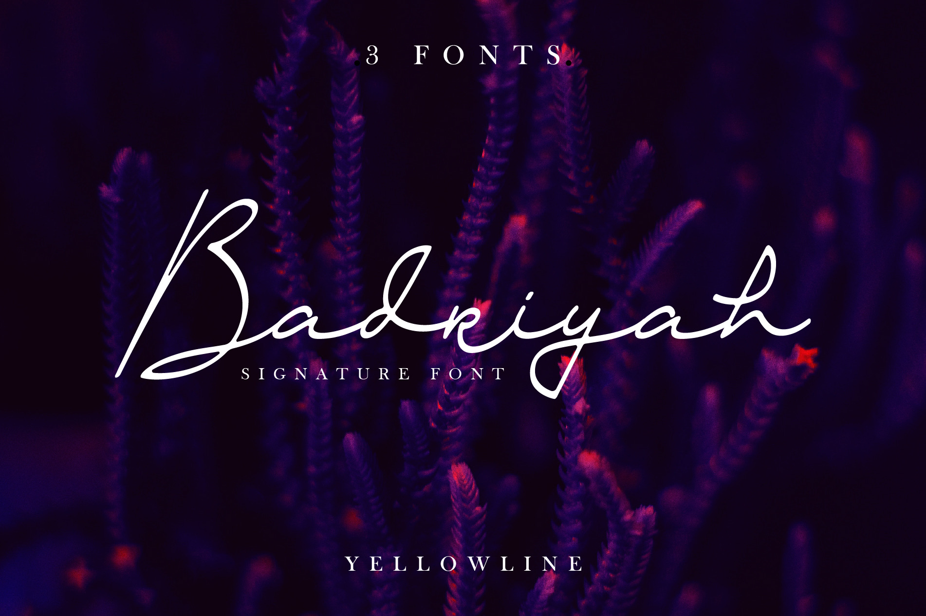 Download Badriyah Font Free - Elegant Arabic Style Typography