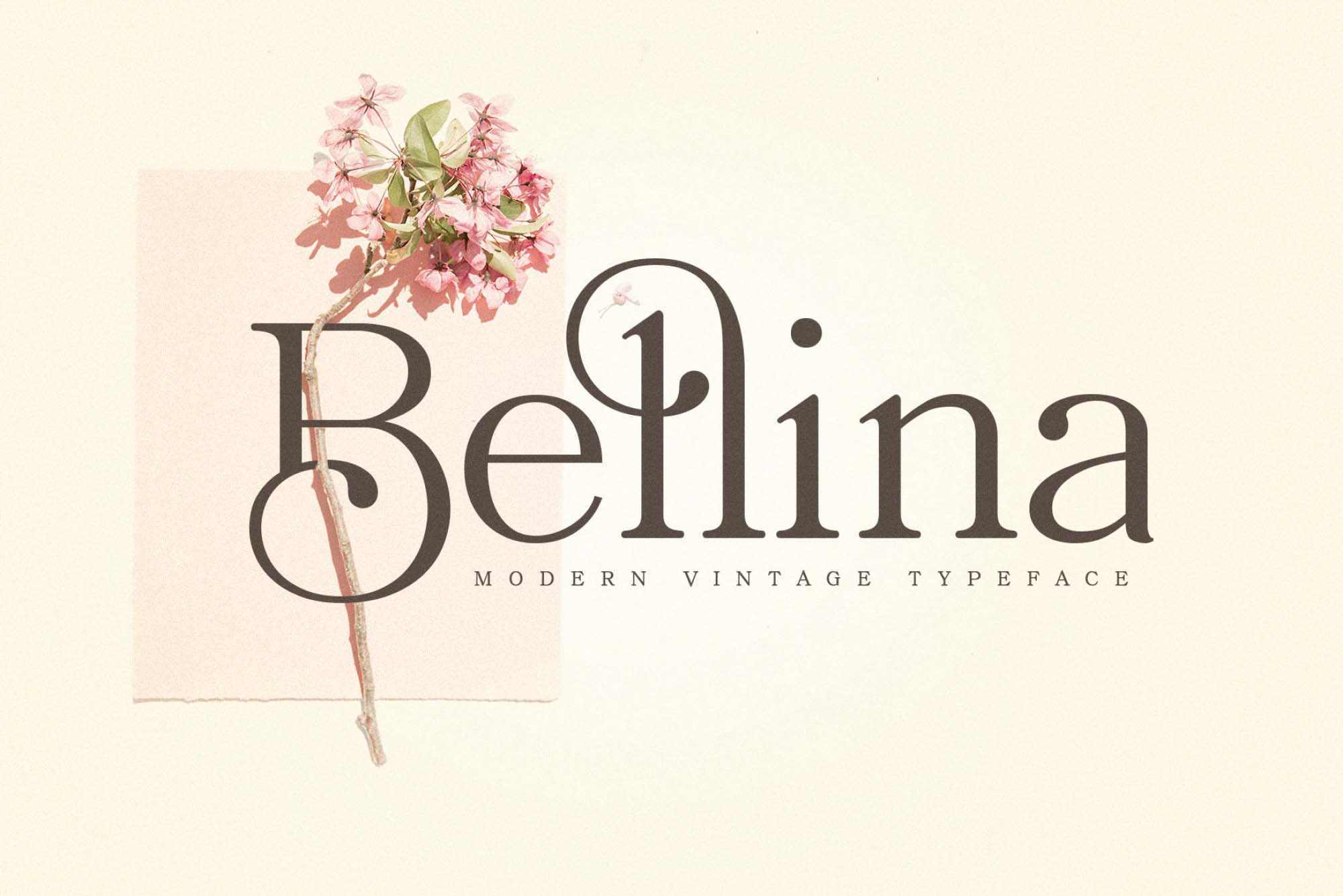 Download Bellina Font Free - Stunning Serif for All Projects