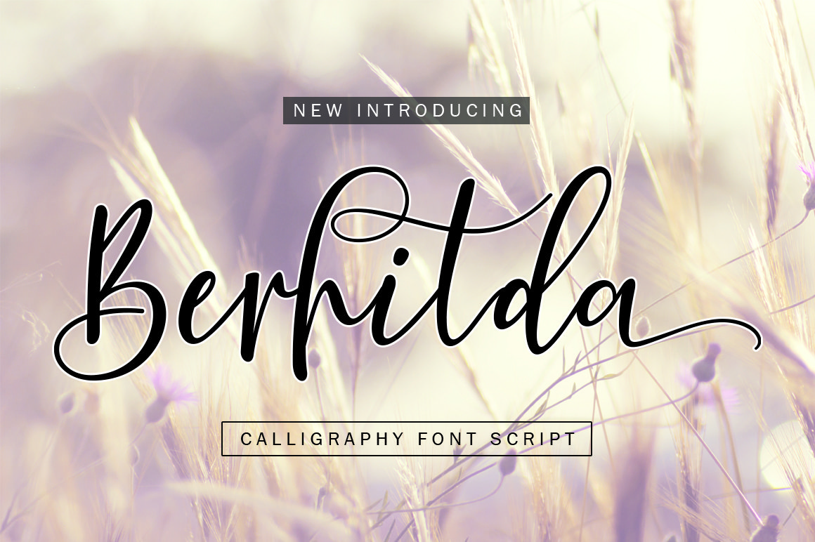 Download Berhilda Free – Versatile Modern Typeface