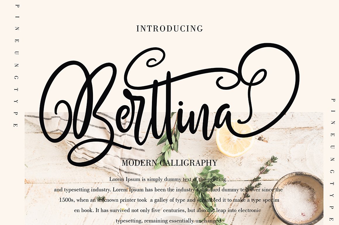 Berttina: Die stilvolle Schriftart für kreative Projekte