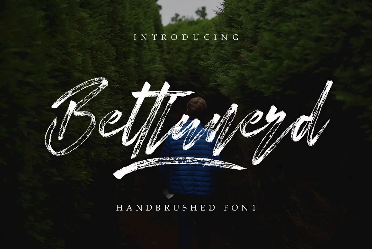 Download Bettlunerd Free - Unique Display Font for Creatives