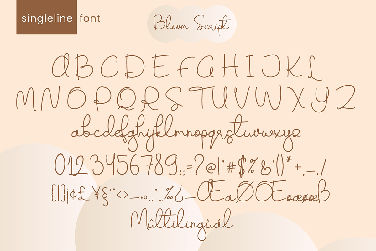 Скачайте Bloomy Script - шикарный рукописный шрифт бесплатно!