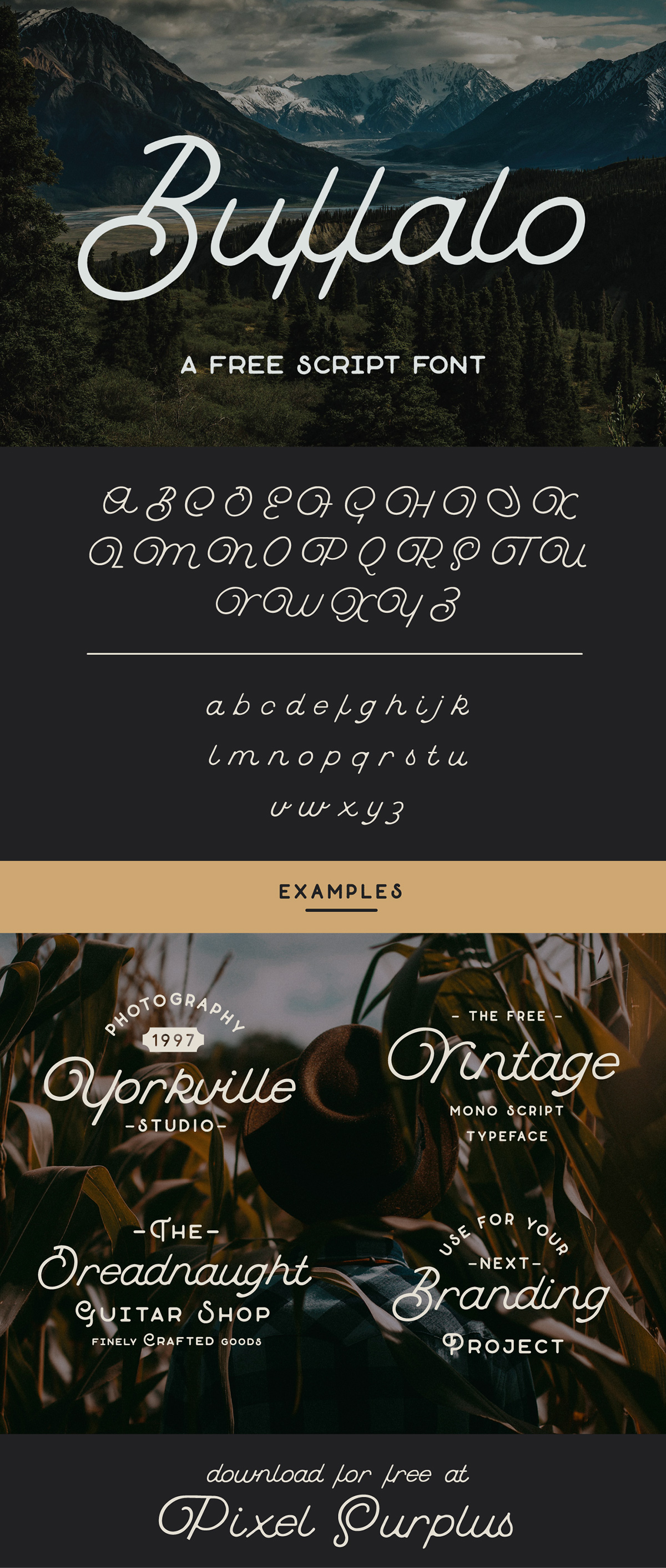 Download Buffalo Script Font Free - Charming Handwritten Style