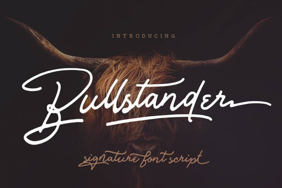 Download Bullstander 6 Set - Free Modern Font Collection