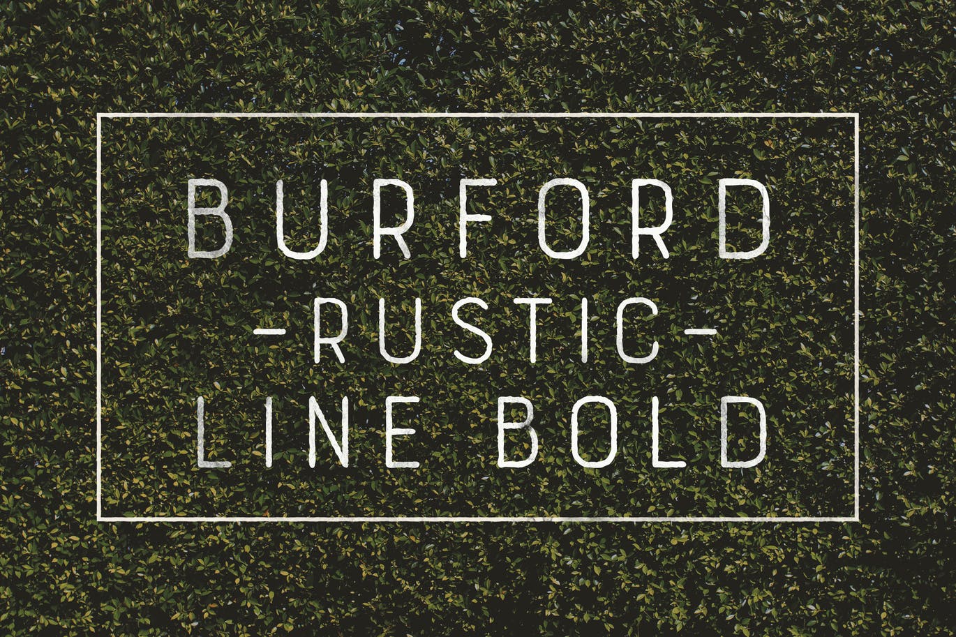 Скачайте бесплатно шрифт Burford Rustic Line Bold - деревенский стиль