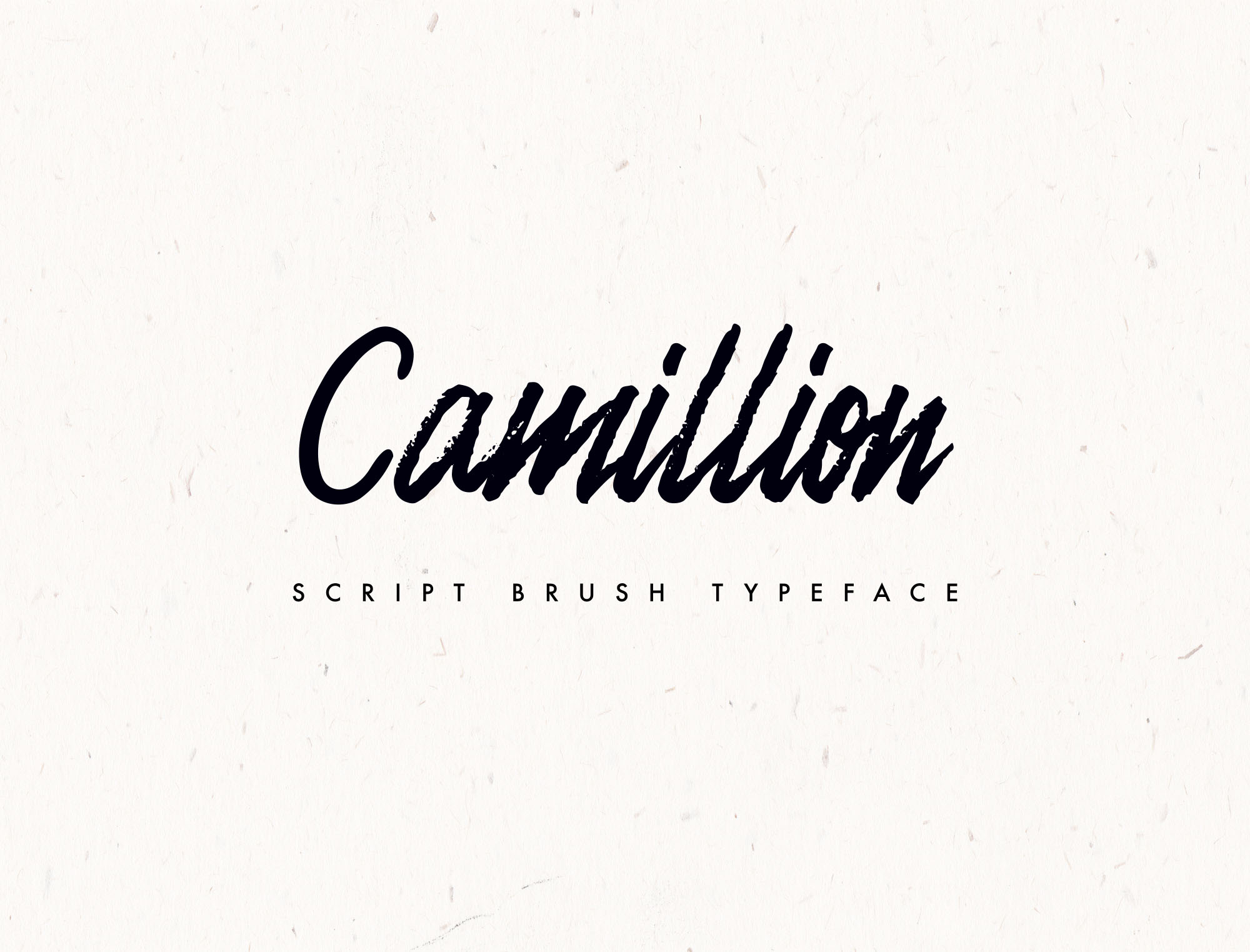 Download Camellion Font Free – Versatile Modern Typography