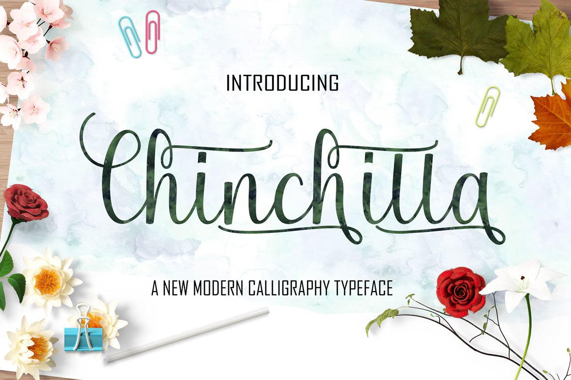 Download Chinchilla Font Free - Stylish & Versatile Design