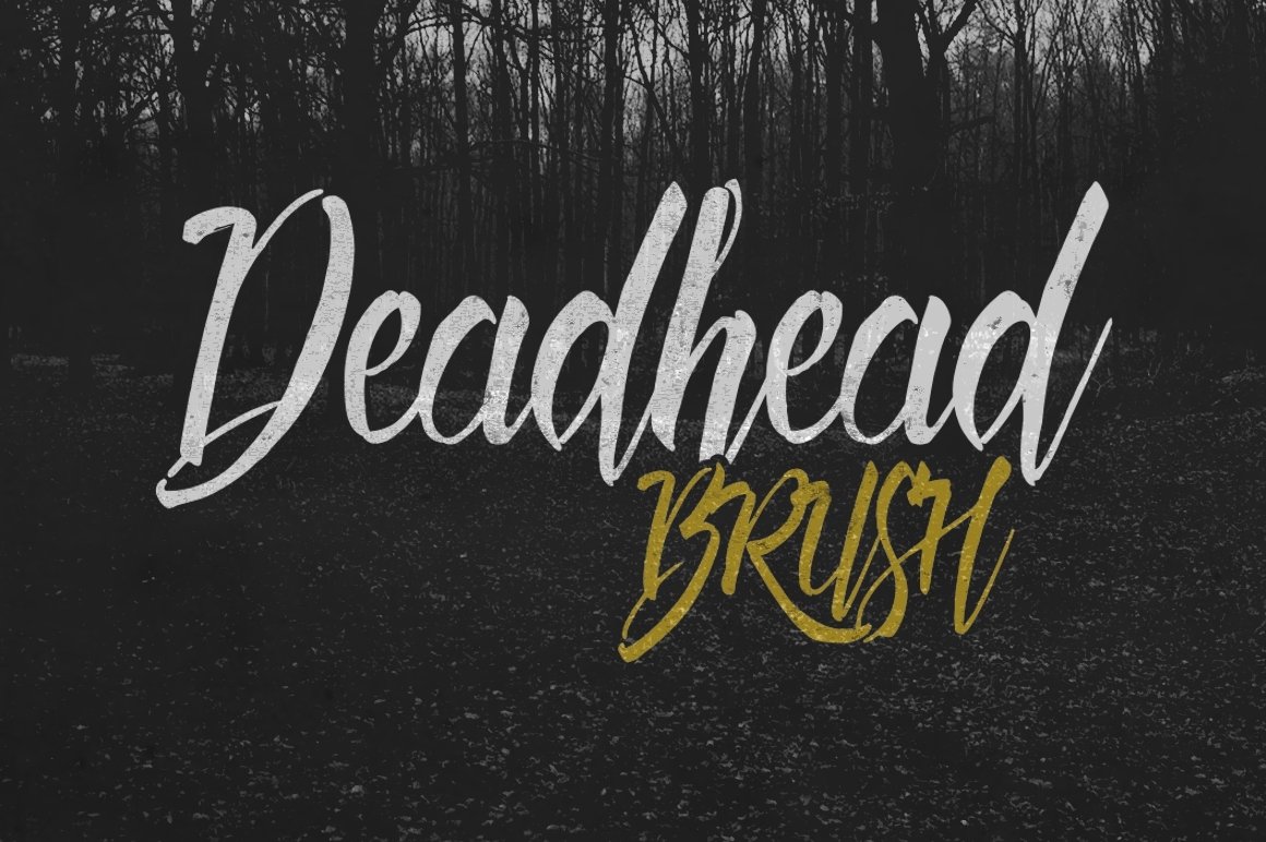 Скачайте Deadhead Brush - уникальный шрифт для творческих проектов