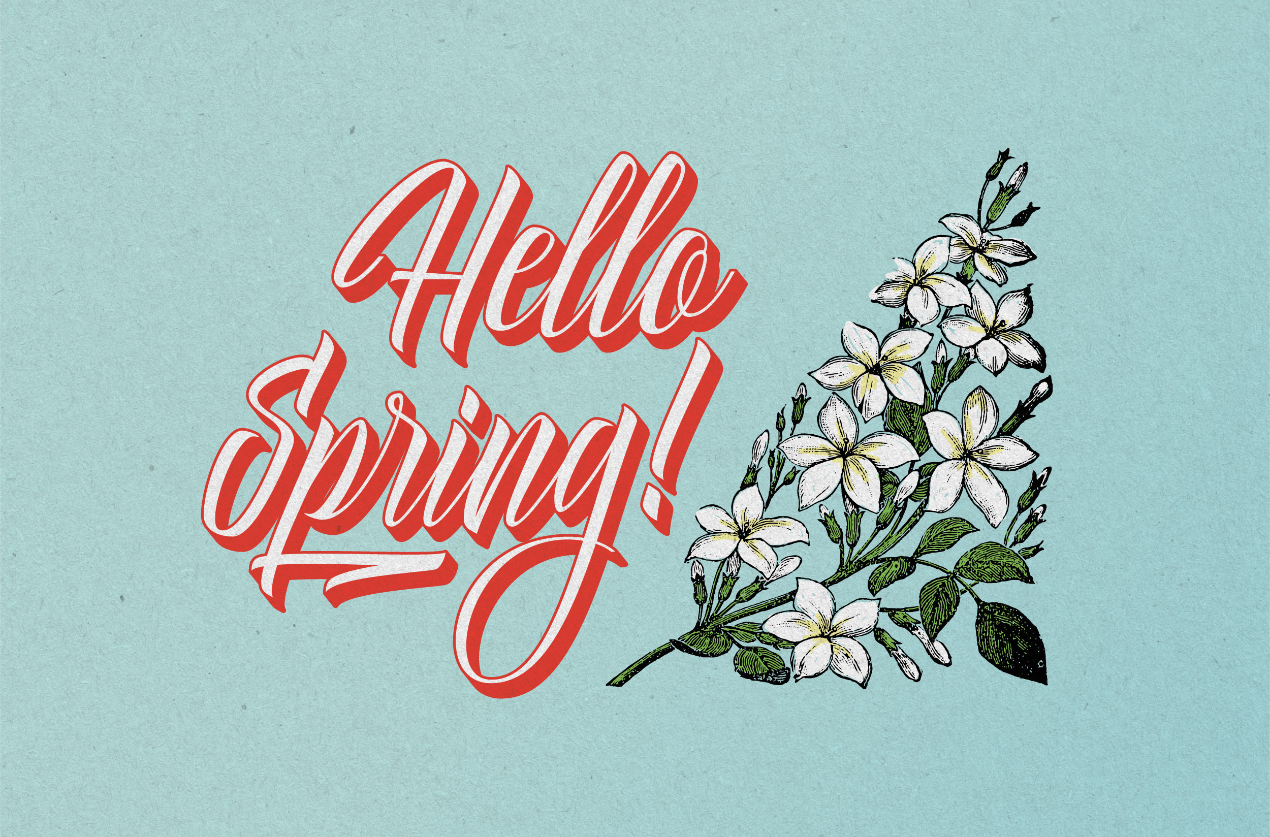 Free Download Delphin Spring Font - Elegant Script Design