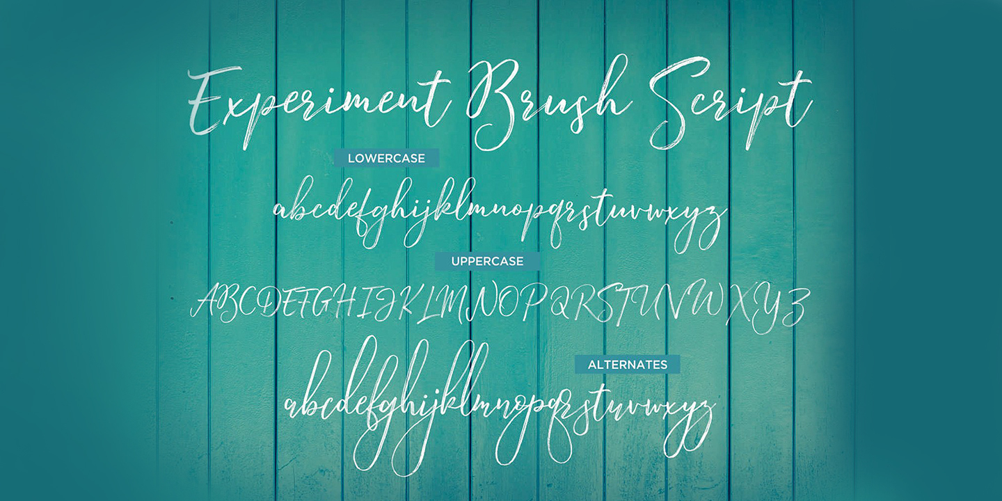 Laden Sie die Experiment Brush Script Schriftart kostenlos herunter - Kreator für lebendige Designs