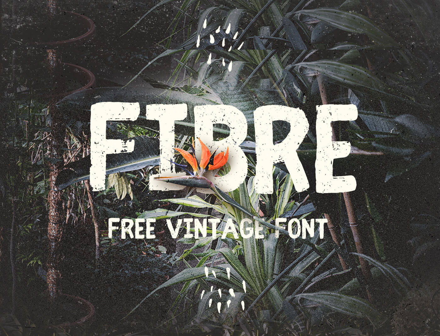 Holen Sie sich die Fibre Vintage Schriftart kostenlos – Stilvolles Retro-Design