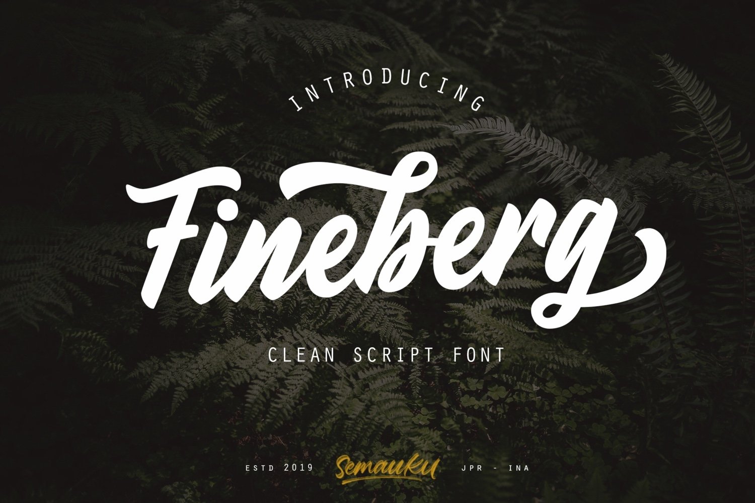 Download Fineberg Font Free - Elegant Modern Typeface