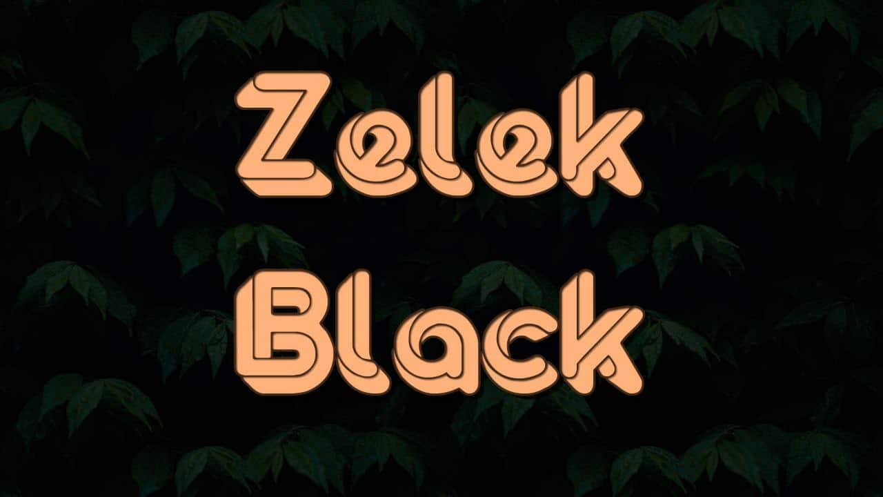 Скачайте бесплатно шрифт Zelek Black - стильный и современный