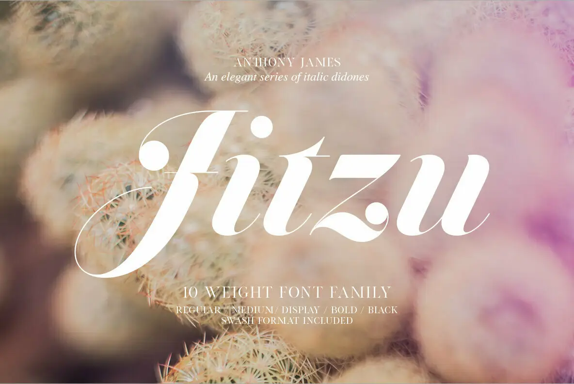 Download Jitzu Font Free - Modern Versatile Typeface