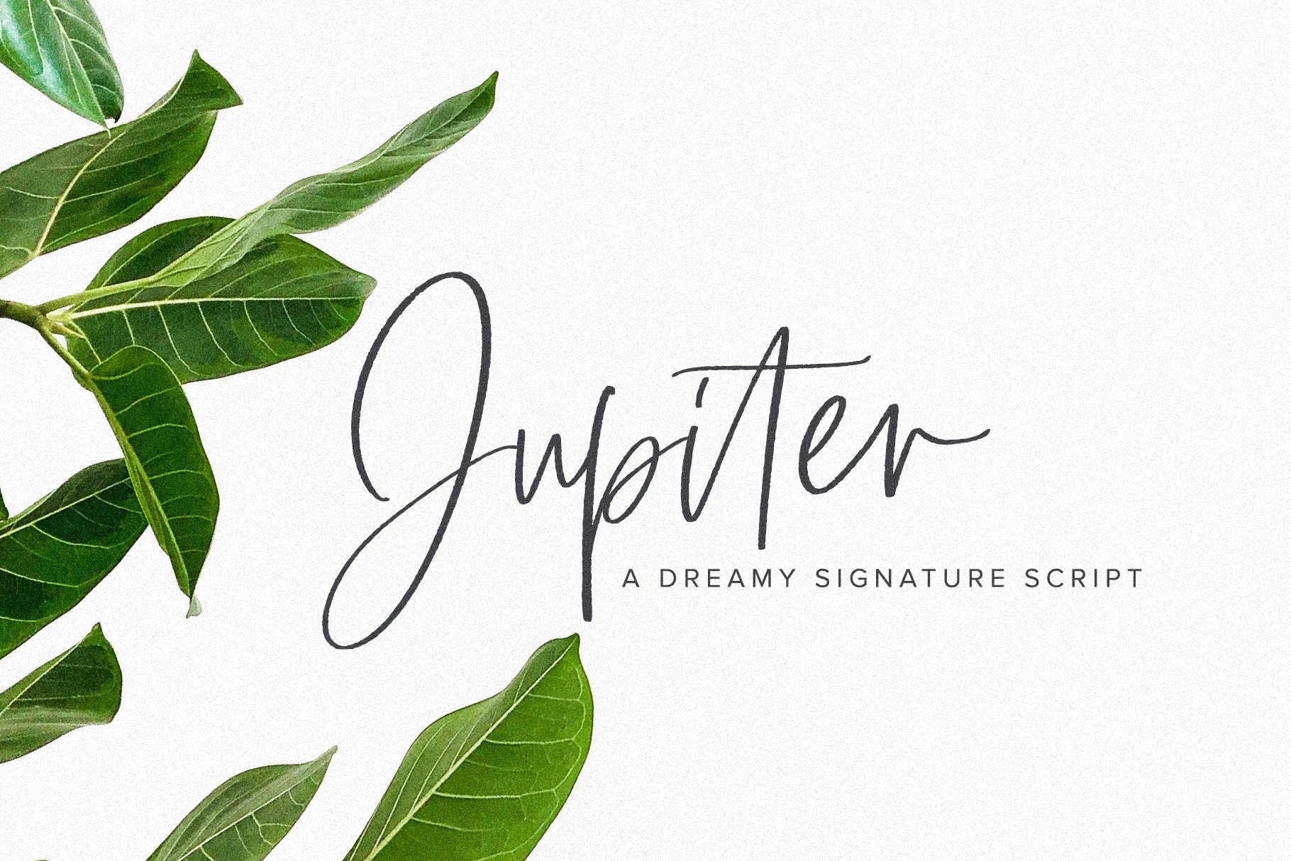 Download Jupiter Font Free - Stellar Design for All Projects