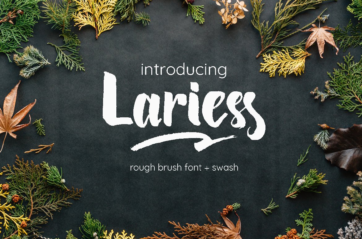 Download Lariess Font for Free - Stylish, Versatile Typeface