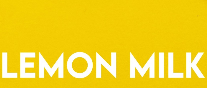 Скачайте бесплатно шрифт Lemon Milk — стильный и современный