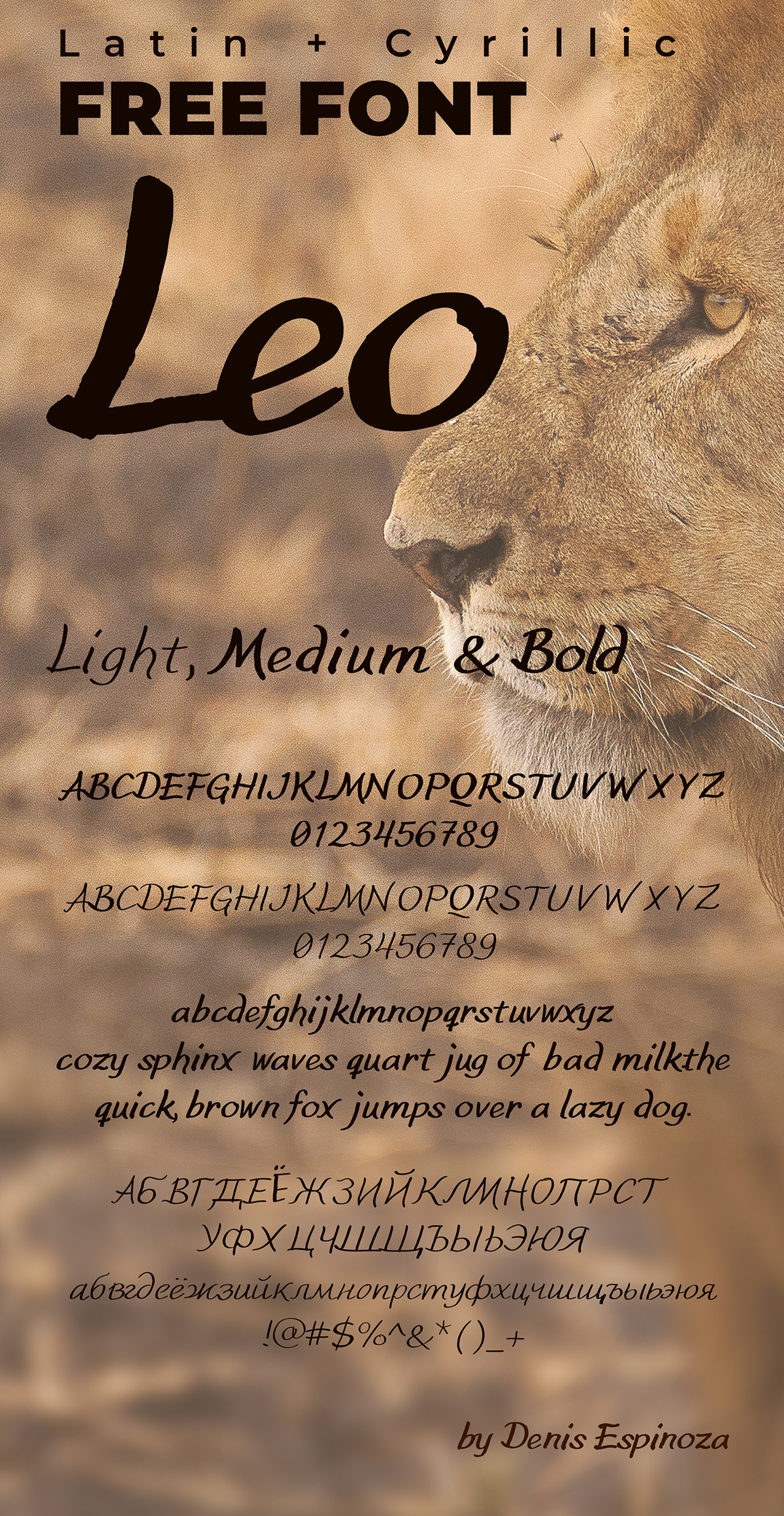 Download Leo Hand Font Free - Charming Handwritten Style