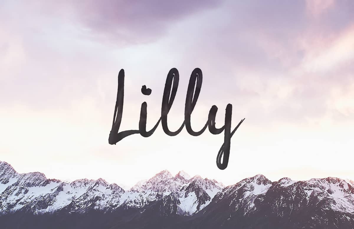 Download Lilly Font Free - Elegant and Timeless Design