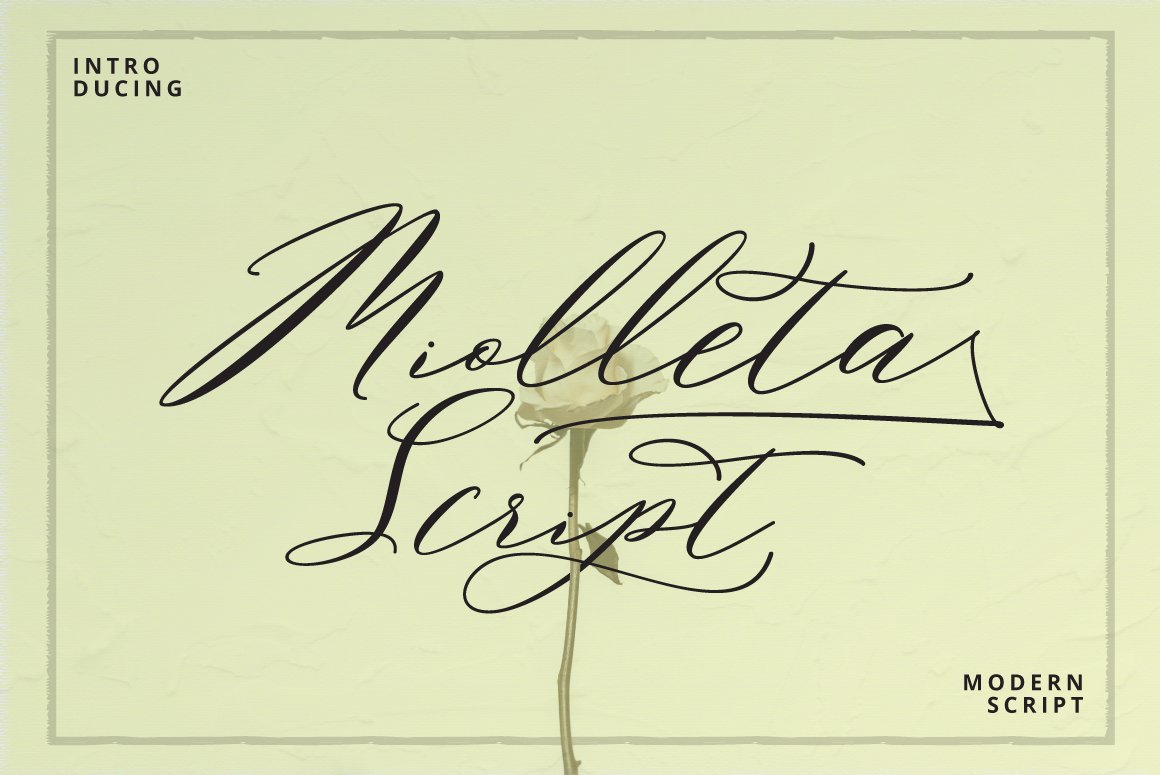 Download Miolleta Font Free - Elegant Curved Typography