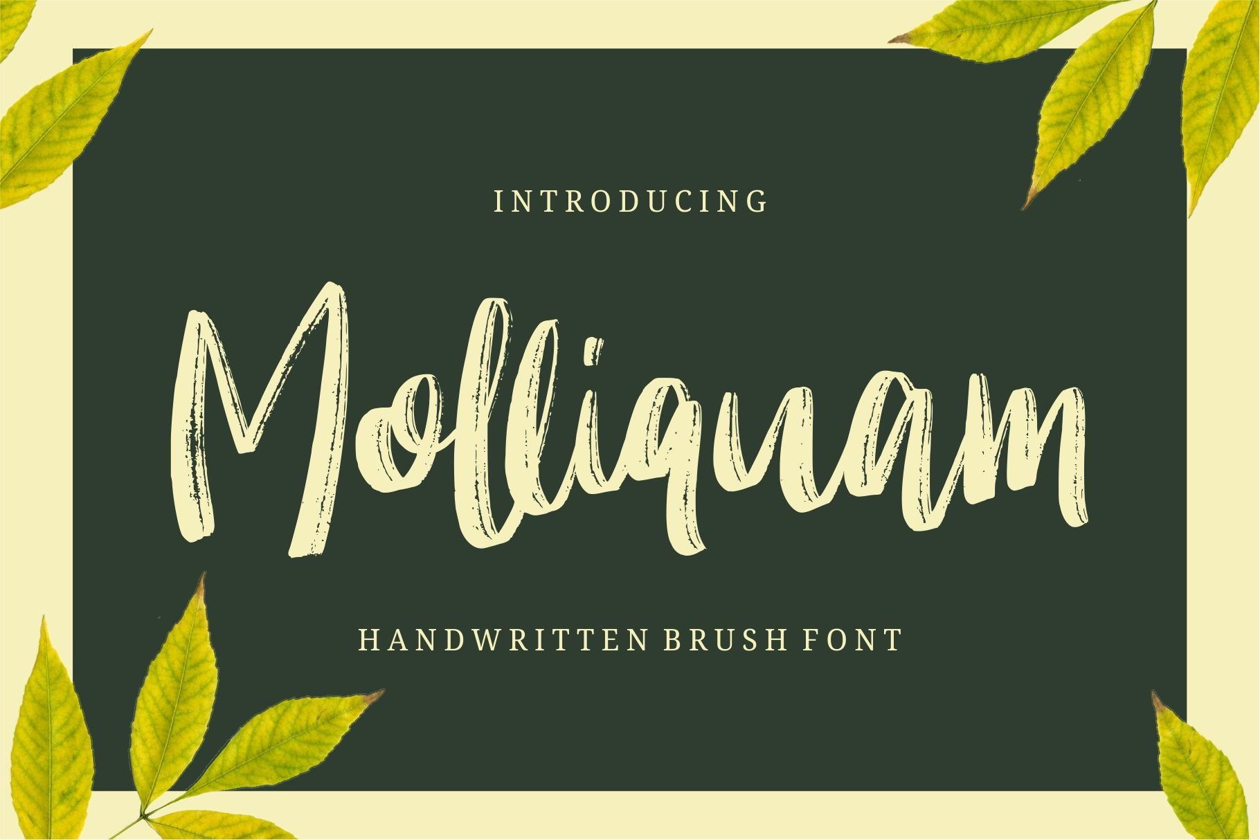 Download Molliquam Font Free - Stylish & Versatile Design