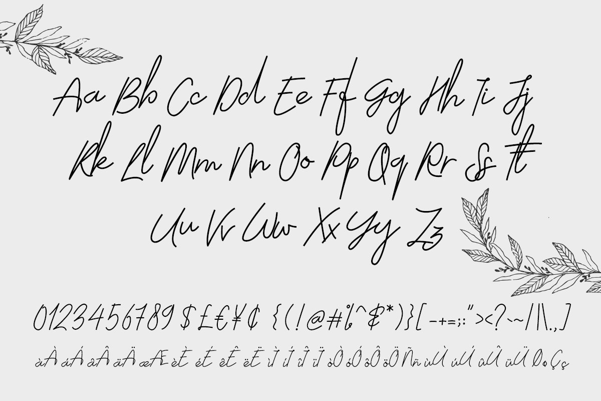 Kostenloser Download der Moscato Script - Stilvolle Kalligrafie Schriftart