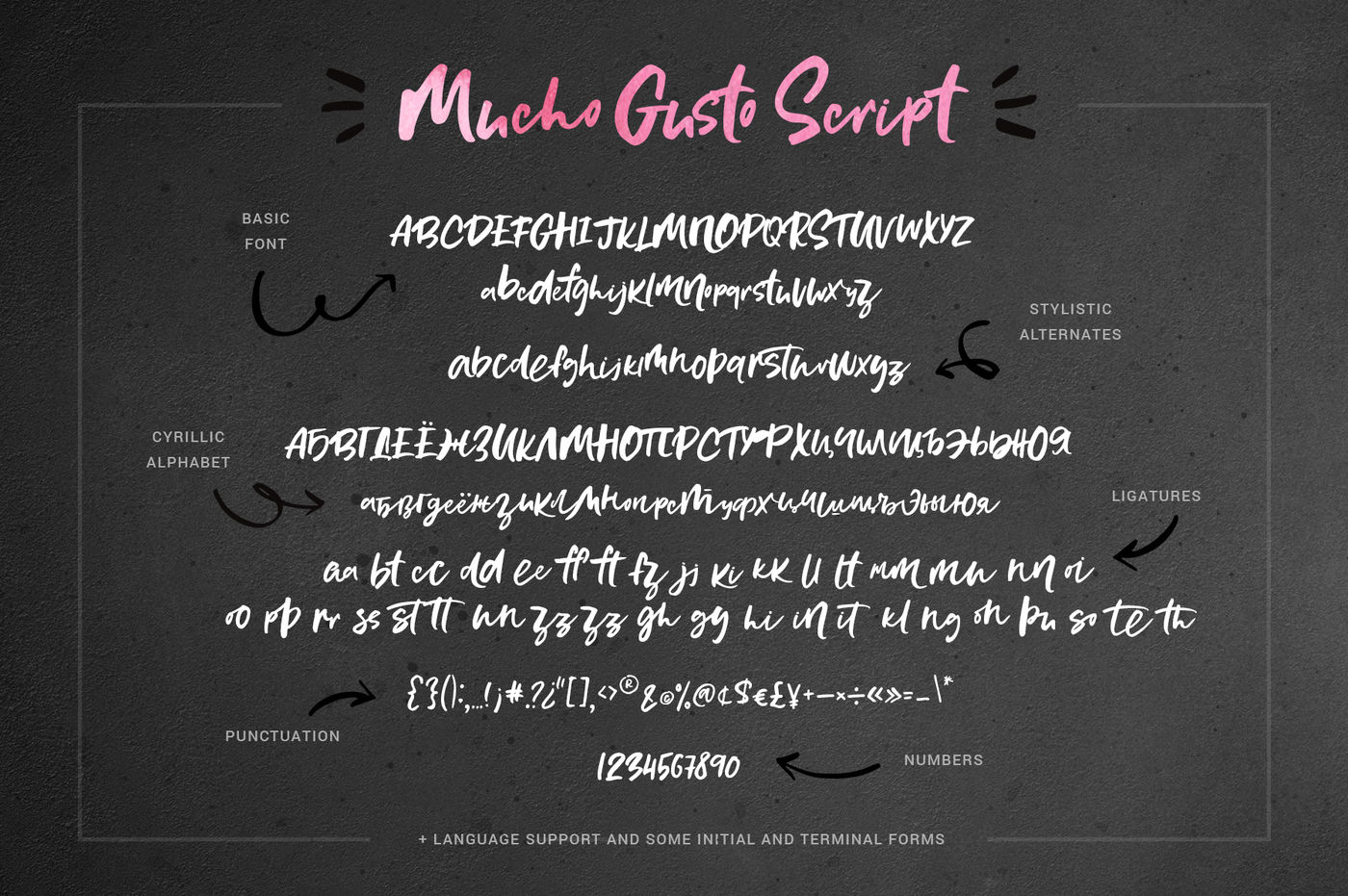 Download Mucho Gusto Family Font Free - Versatile Handwritten Style