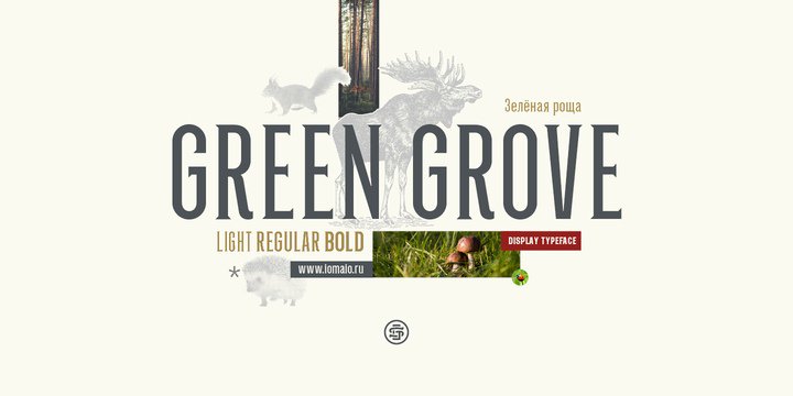 Téléchargez la police Green Grove - Élégance naturelle pour vos projets