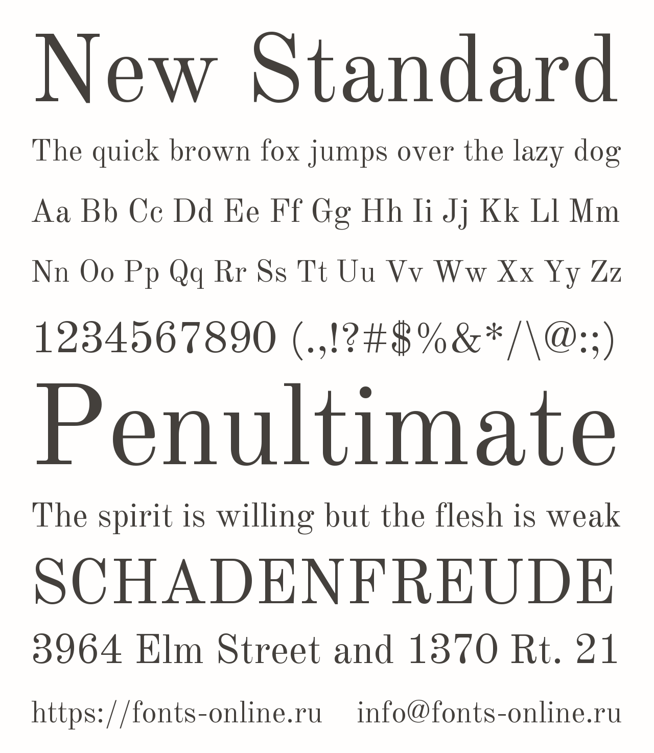 Download New Standard Font for Free - Sleek & Modern Design