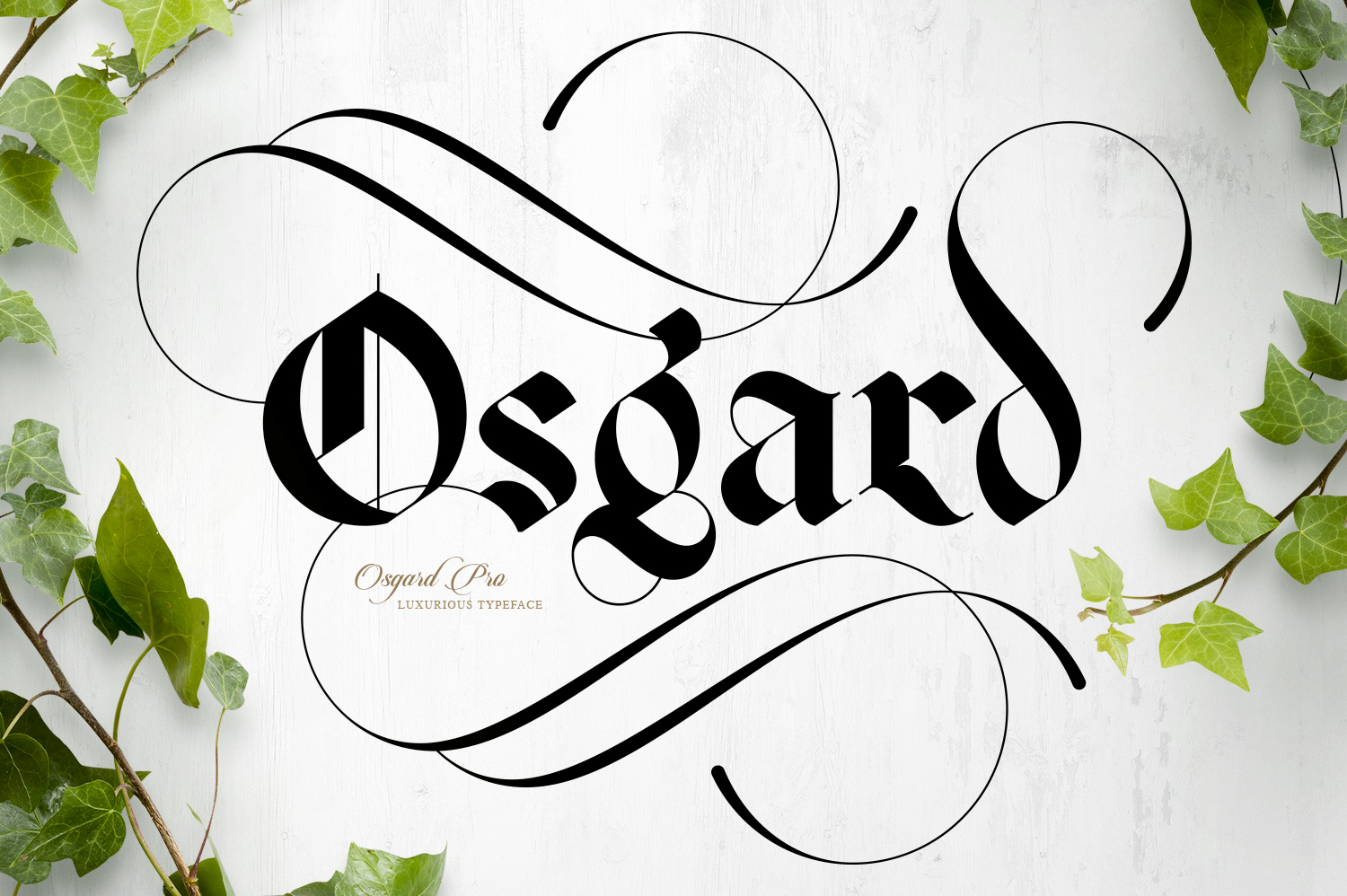 Download Osgard Pro Font Free - Modern & Versatile Sans-Serif