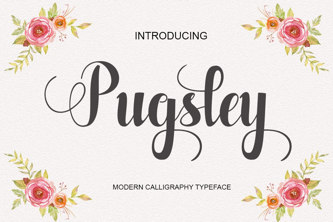 Download Pugsley Font Free - Fun & Playful Typography