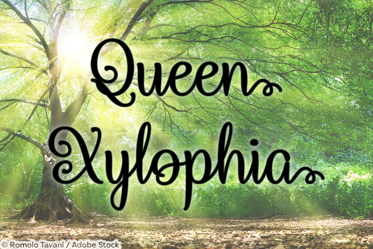 Download Queen Xylophia Font Free - Regal Typography Awaits