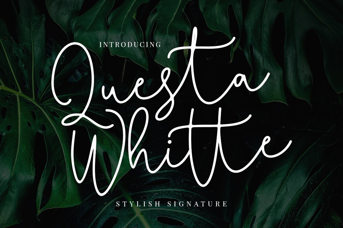 Download Questa Whitte Font Free - Stylish Serif Design