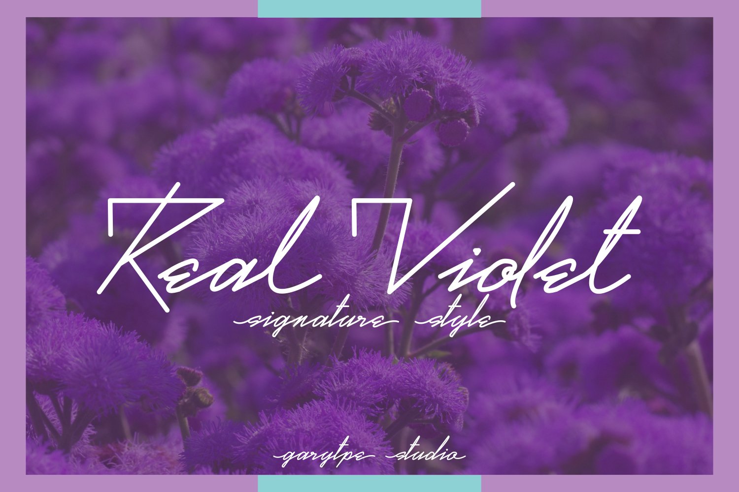 Download Real Violet Font Free - Stylish & Versatile Design