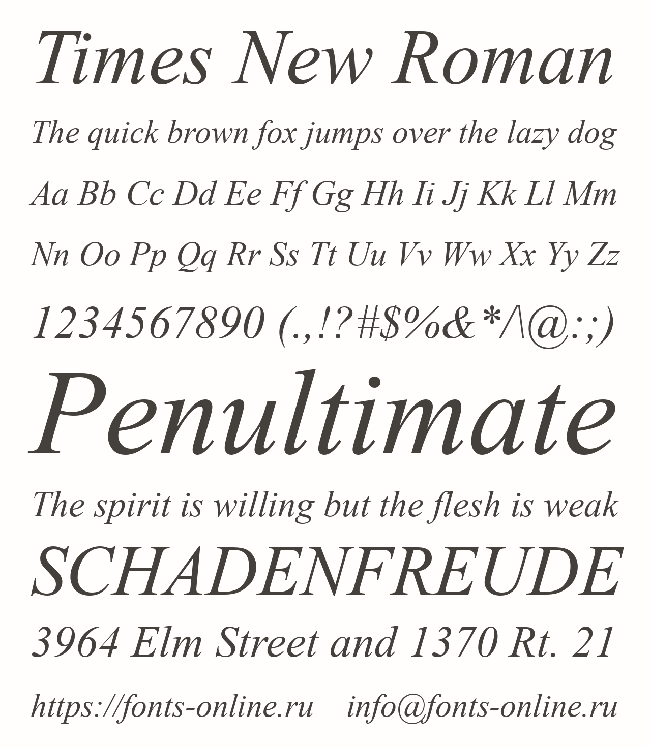 Download Right Times Font Free - Classic Serif Elegance