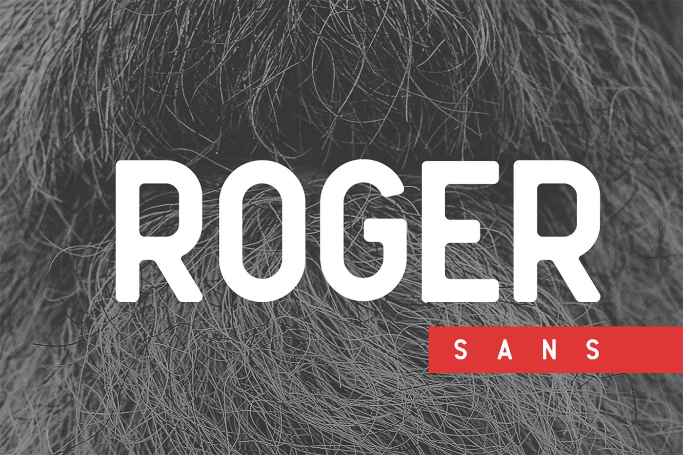 Download Roger Sans Free - Versatile Modern Sans Serif Font