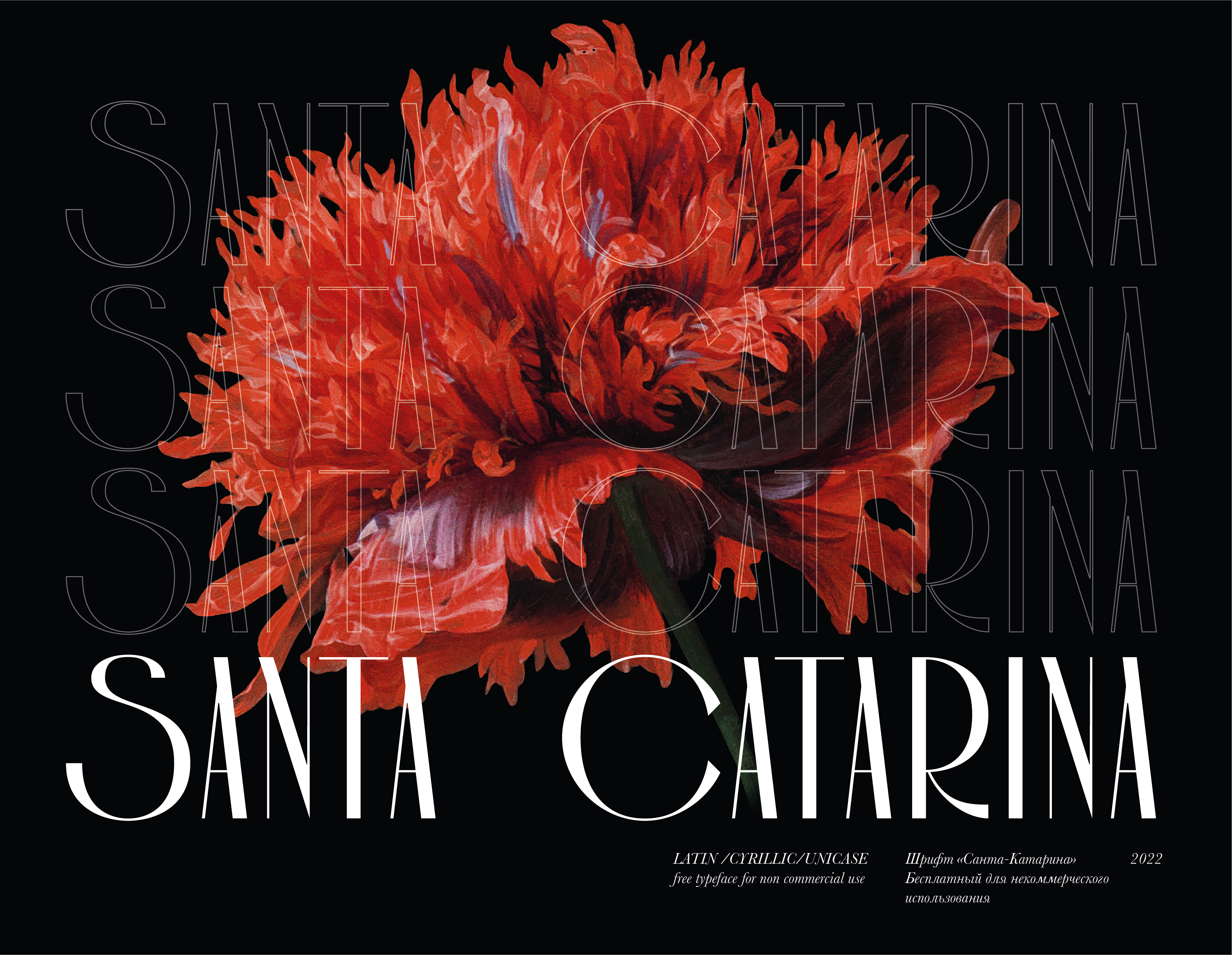 Download Santa Catarina Font Free - Unique Modern Style