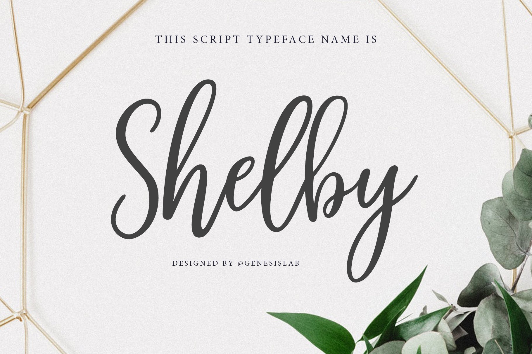 Скачайте бесплатно шрифт Shelby Typeface - стильный и современный