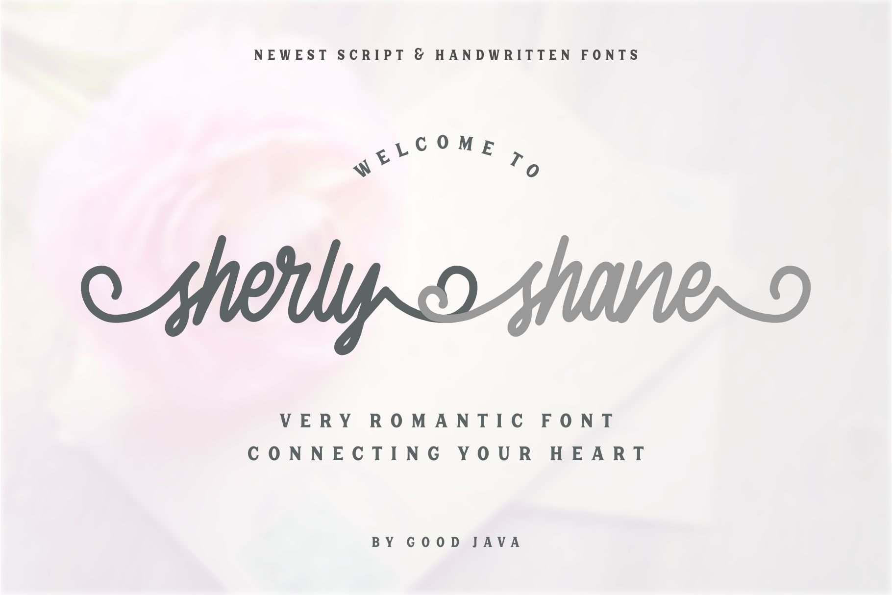 Download Sherly Shane Font Free - Elegant Display Style