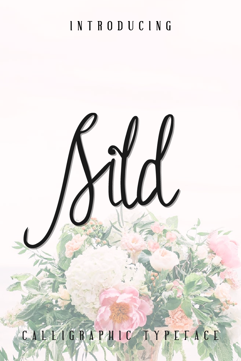 Download Sild Typeface Free - Modern & Versatile Font